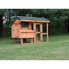 The Nancy Amish Chicken Coop